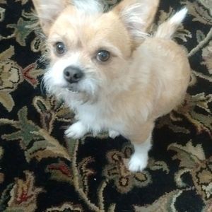 Meet your Posher, Susan